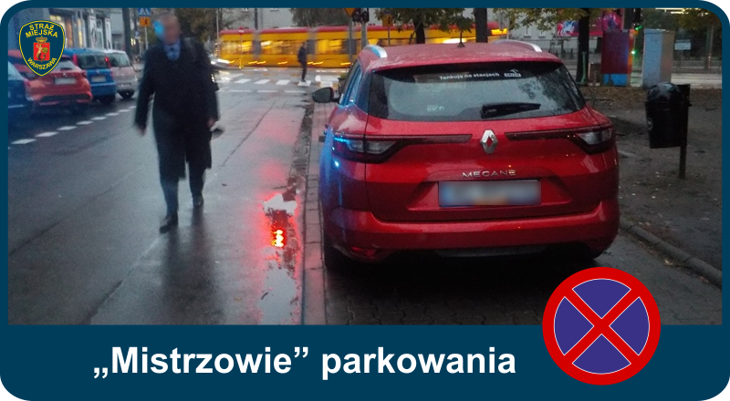 „Mistrzowie” parkowania w Warszawie