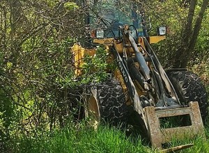 Budowlana ładowarka w lesie. Szybko wyjaśniło się, dlaczego tam się znalazła