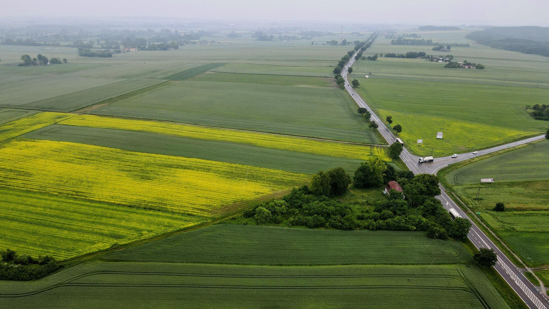 DK12 w okolicy planowanego węzła Siedliszcze