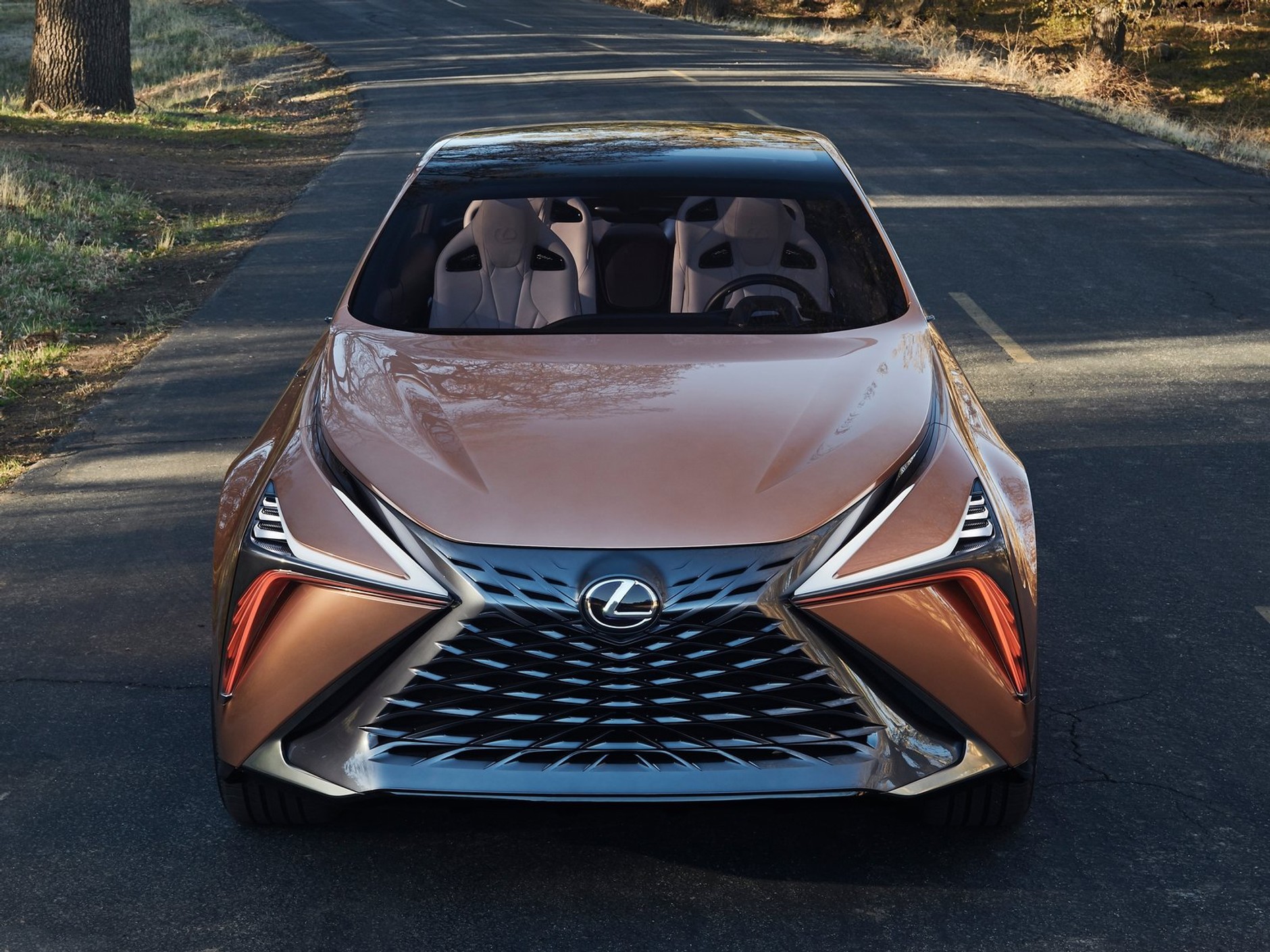 Lexus LF-1 Limitless