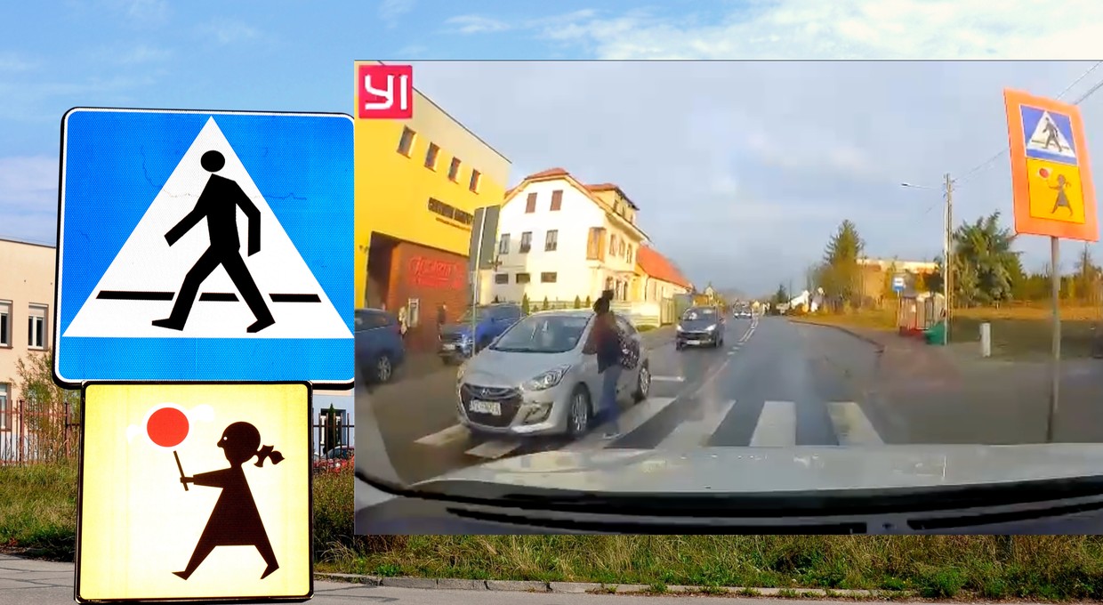 Te pasy z "Agatką" są koszmarem dzieci. Czy petycja i wideo pomogą?