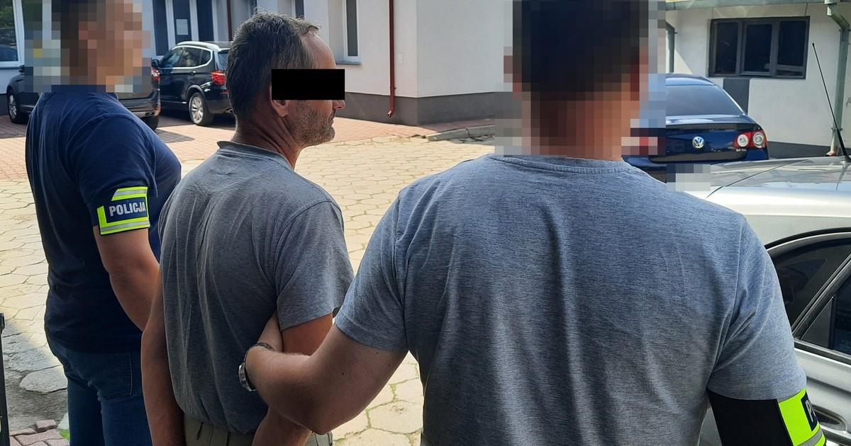 Obraz pochodzący z serwisu https://krasnystaw.policja.gov.pl/lks/informacje/aktualnosci/146413,Tymczasowy-areszt-dla-sprawcy-wypadku.html