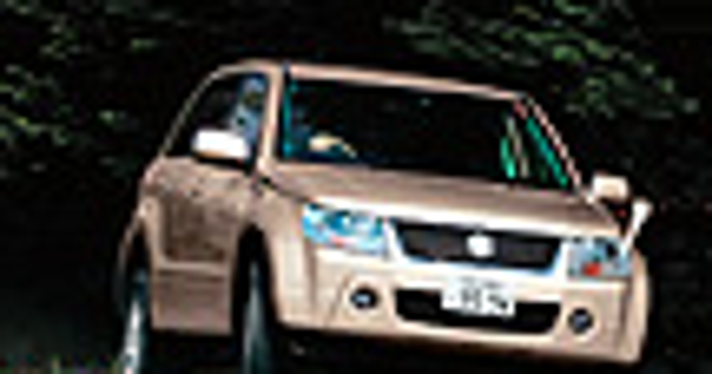 Dojrzała Vitara