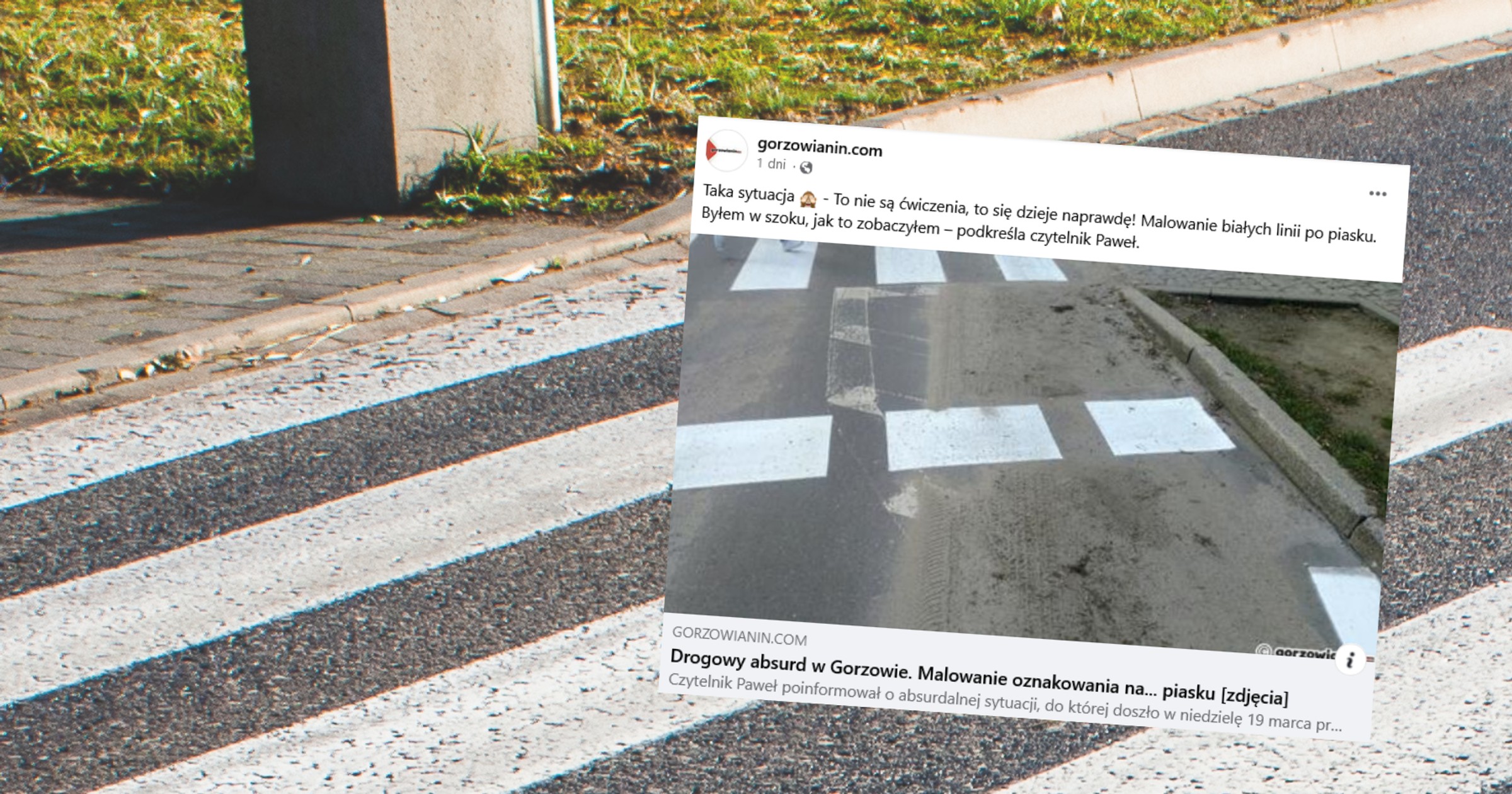 Dziwna sytuacja w Gorzowie (fot. screen z facebook.com/gorzowianincom)
