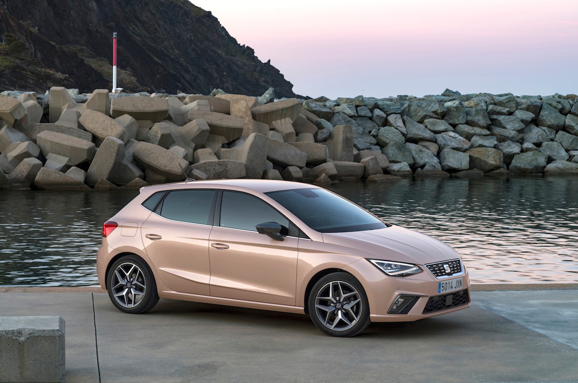 Seat Ibiza V