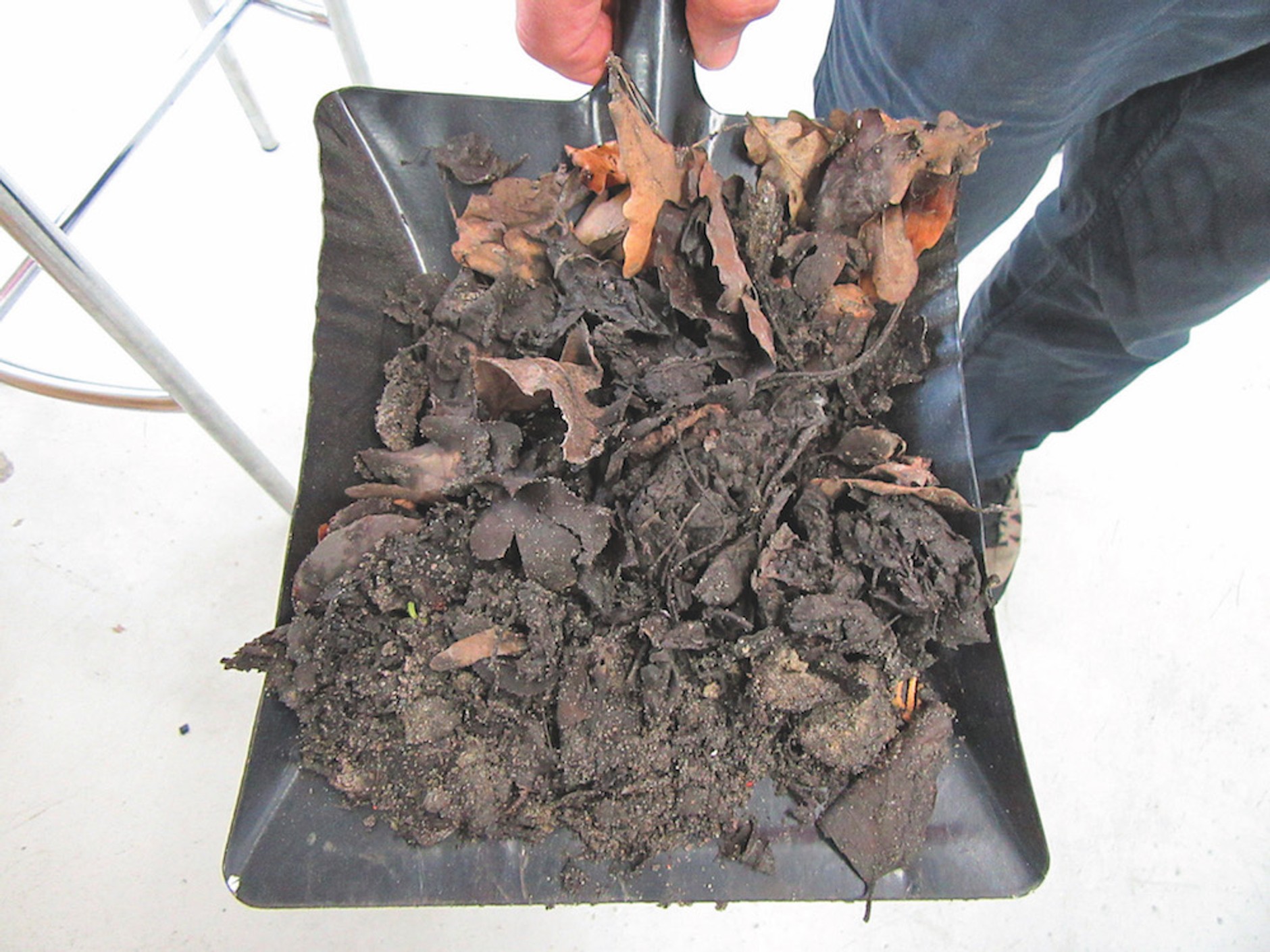 Jak wygląda Volkswagen Passat po 1.8 TSI 150 tys. km - czy godnie się zestarzał?