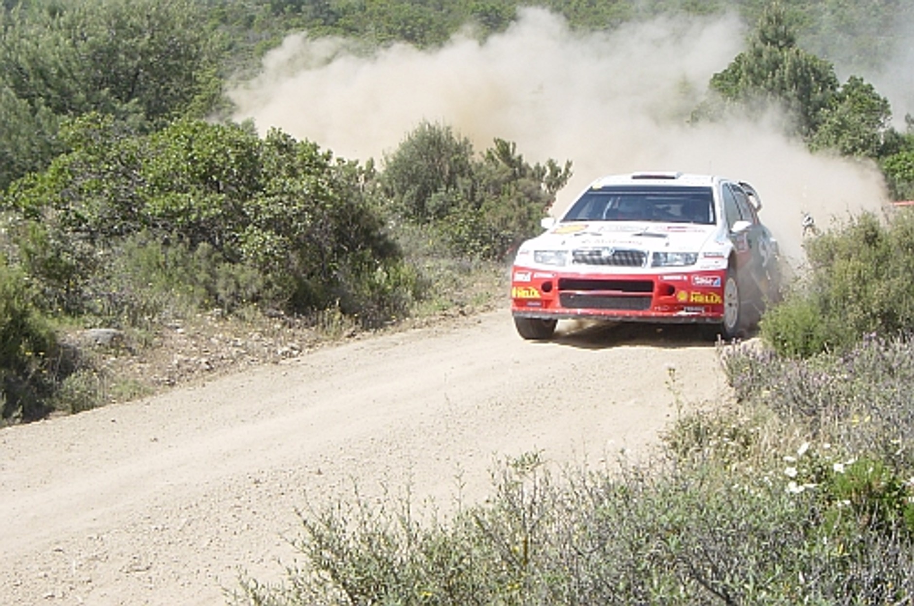 Ford i Citroen na podium