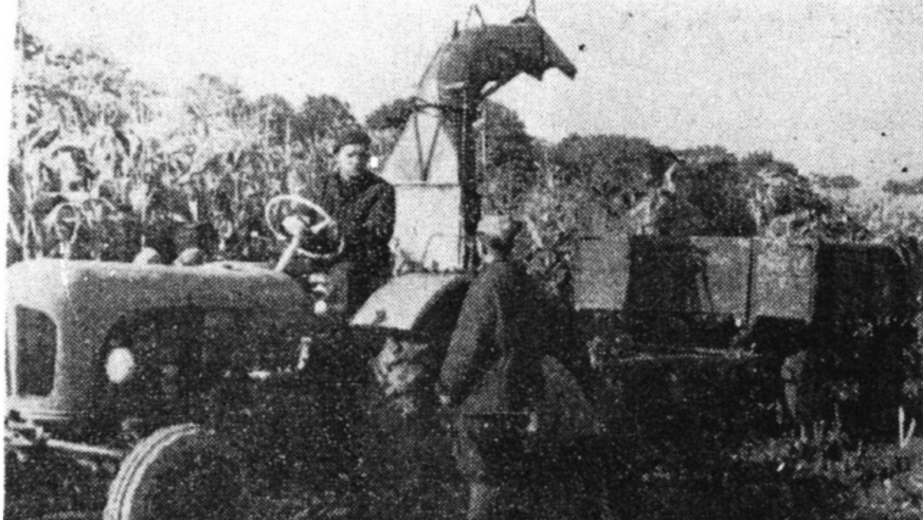 Na archiwalnych zdjęciach widać, że prototypowy Ursus C-336 miał maskę podobną do tej, jaka występowała w modelu C-325.