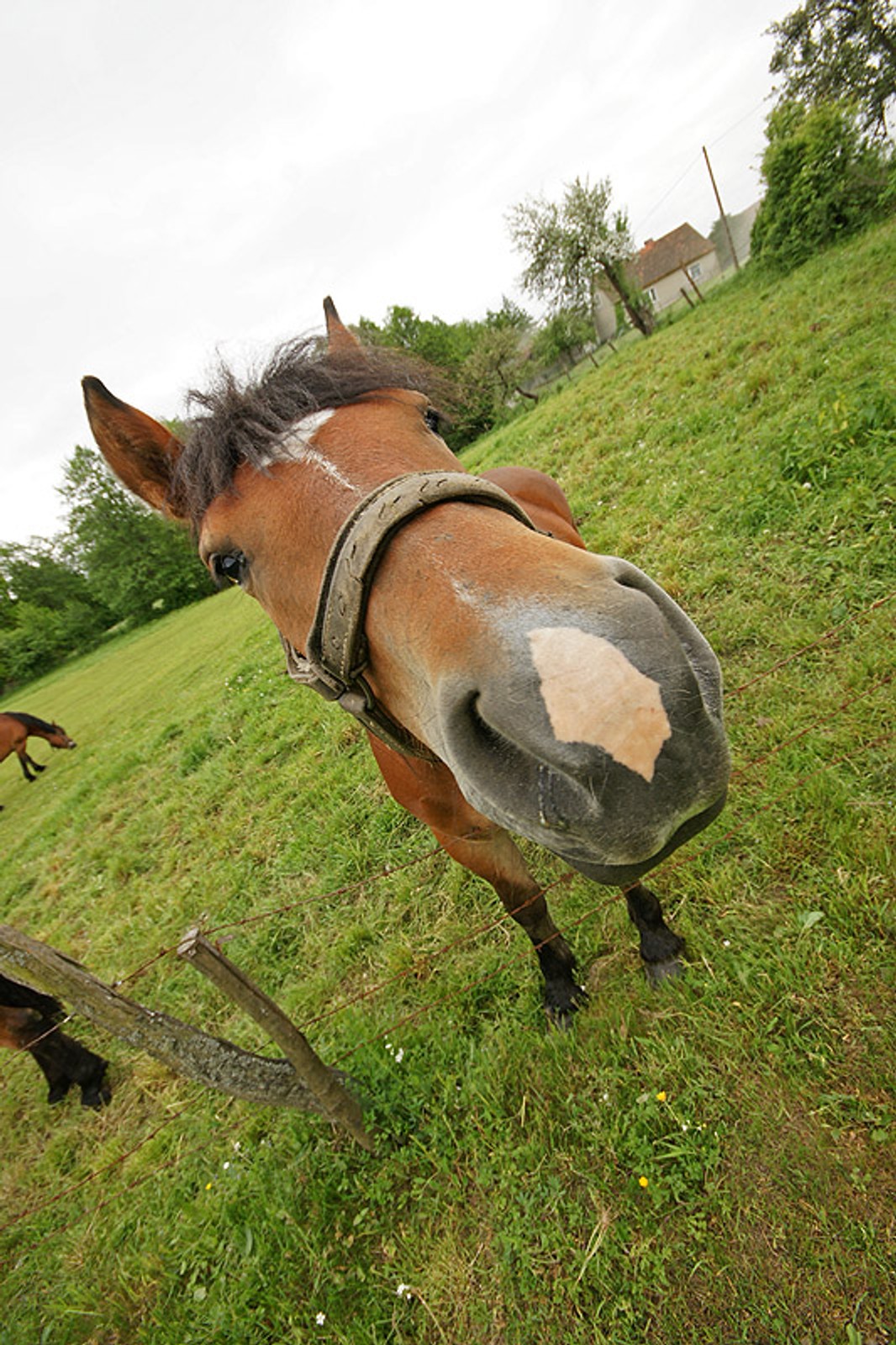 Rajd Agapit 2008: fotogaleria Dawida Konopki