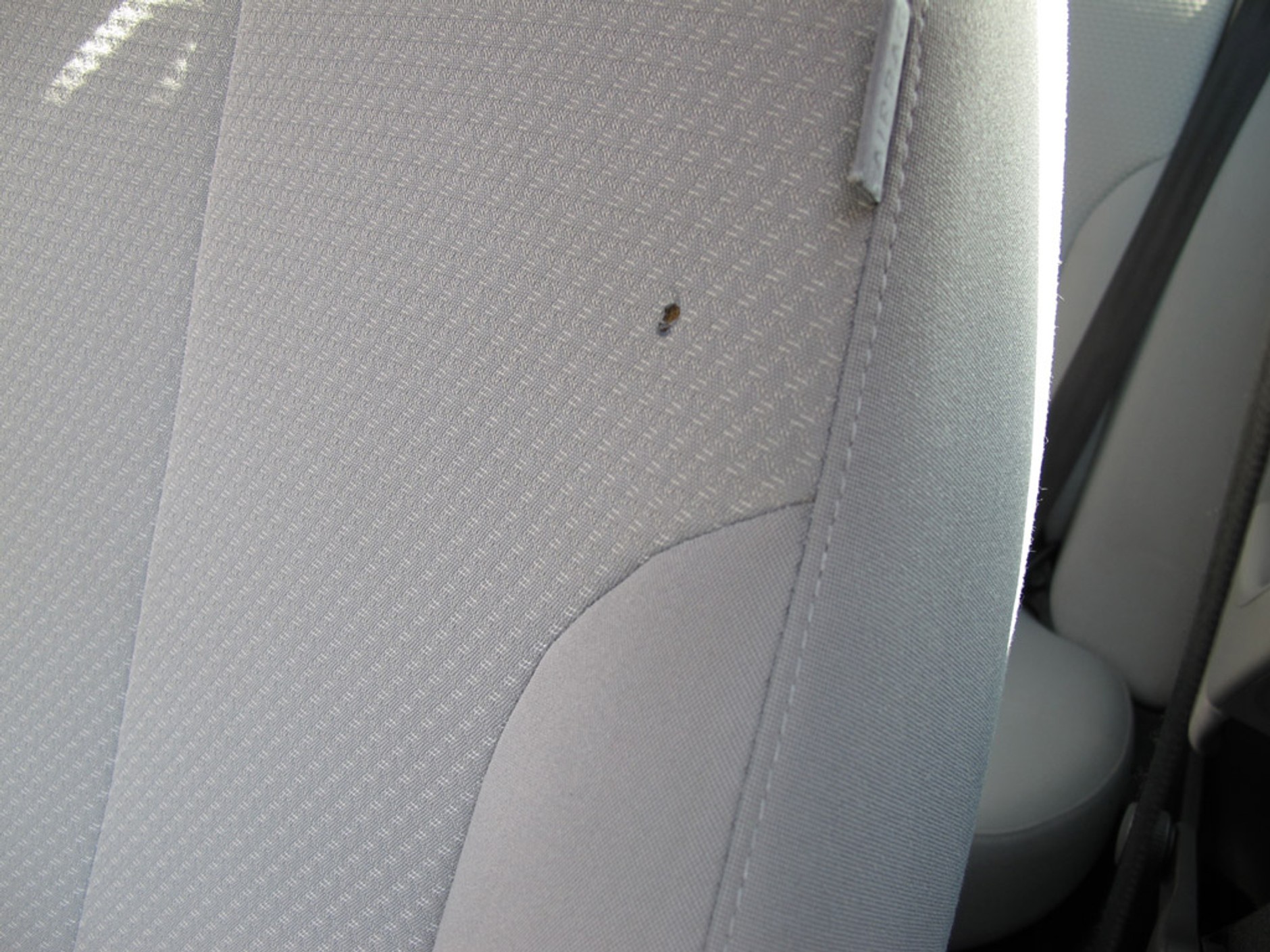 Sprawdziliśmy, czy warto kupić samochód sprowadzony z Francji