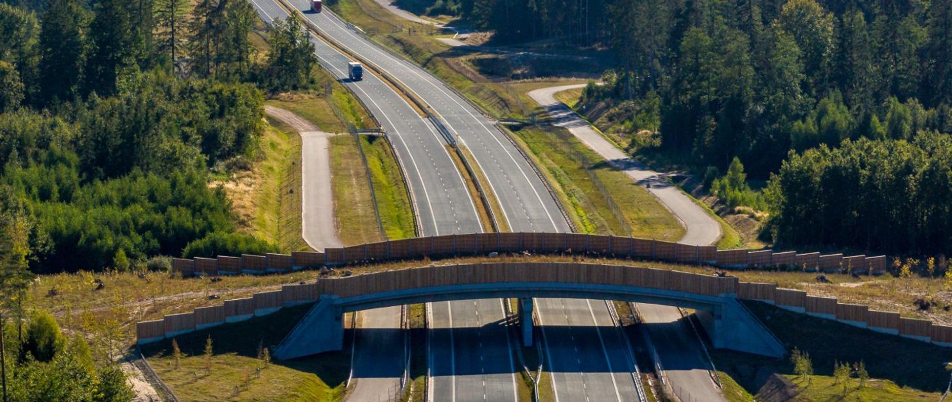 Przejście dla zwierząt nad S61