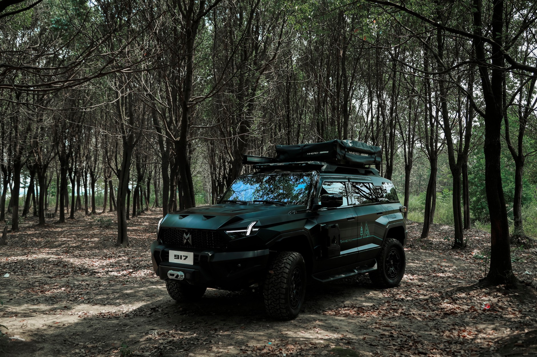 Dongfeng Mhero