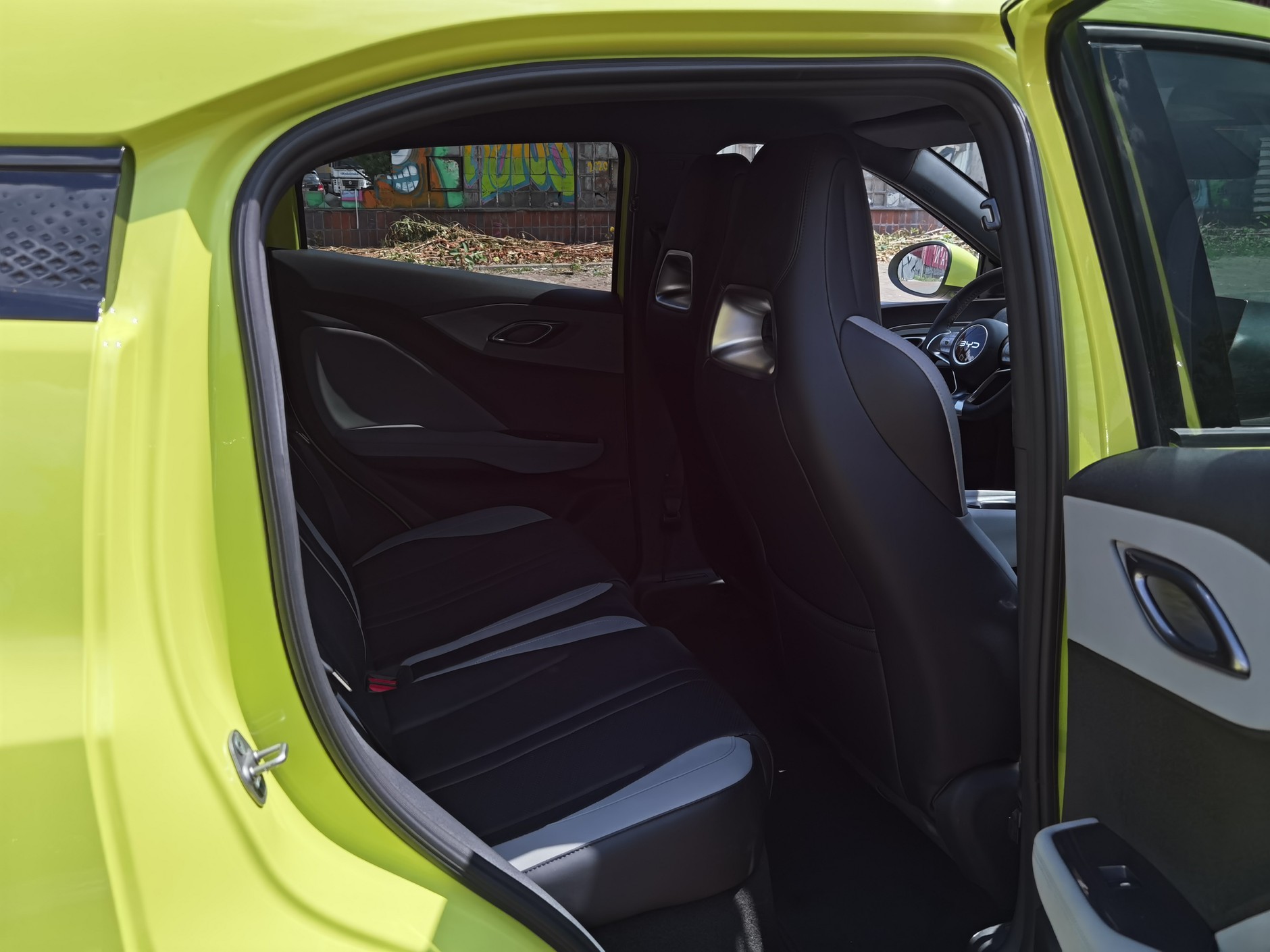BYD Dolphin Surf