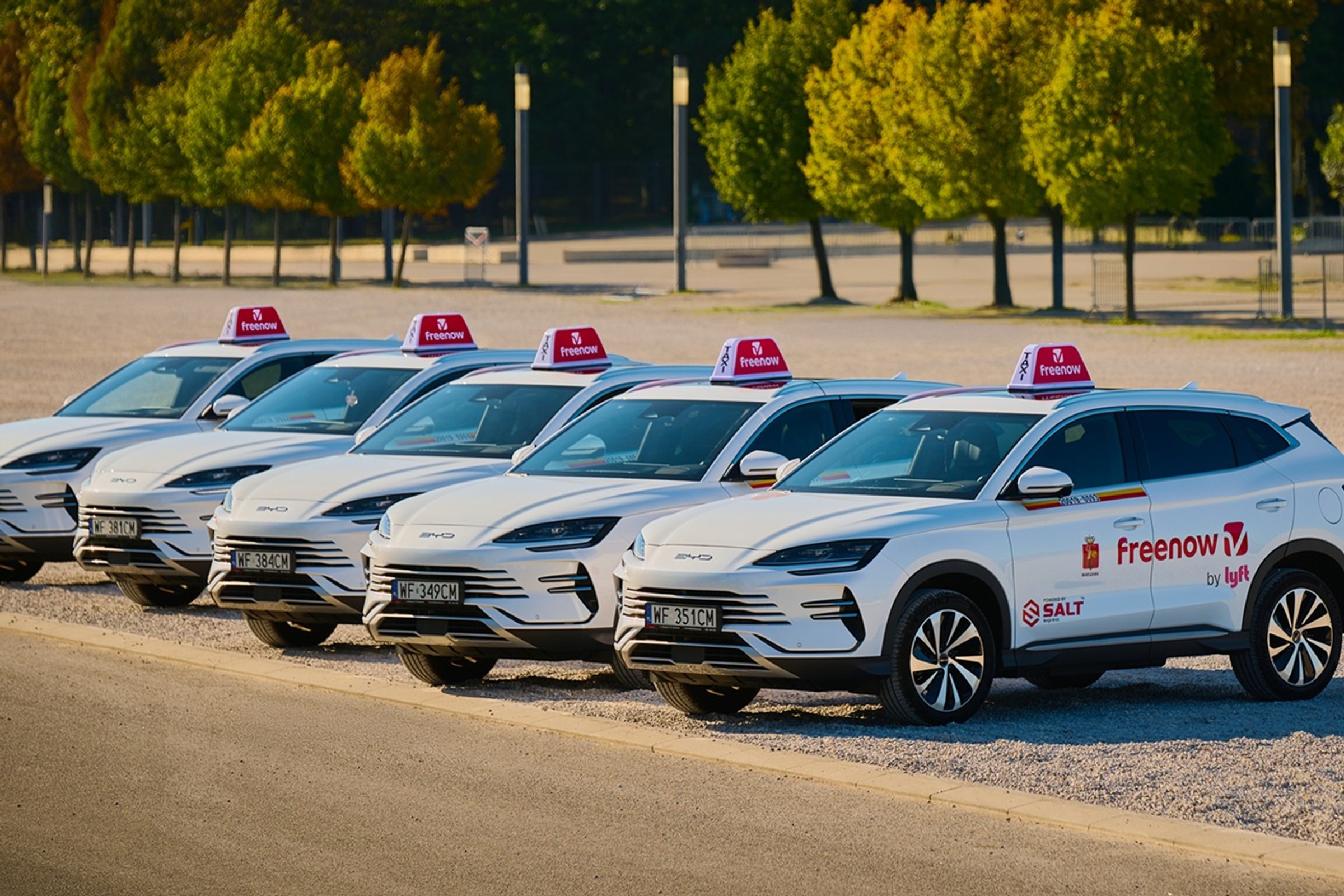 Strategiczne partnerstwo na polskim rynku taxi. Freenow wybrał chińskie samochody BYD