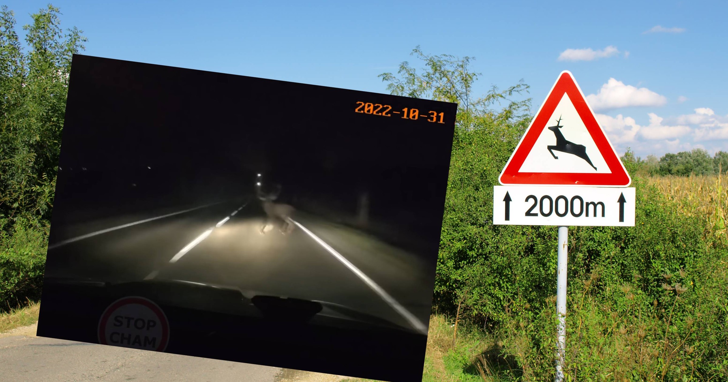 Test łosia w praktyce zarejestrowany na kamerce