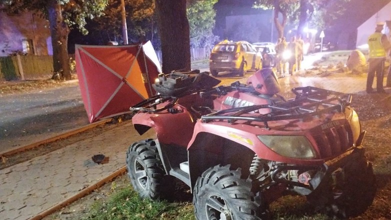 Źródło: srem.policja.gov.pl