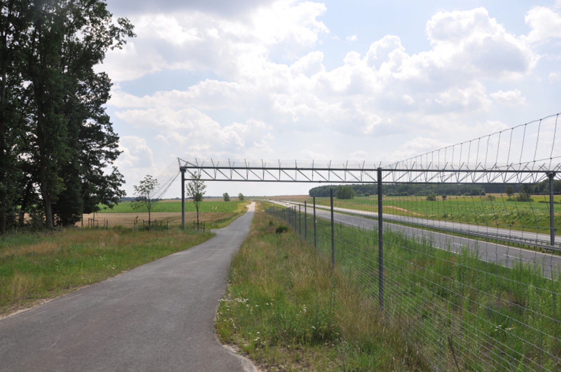 Bramownica dla nietoperzy nad drogą ekspresową