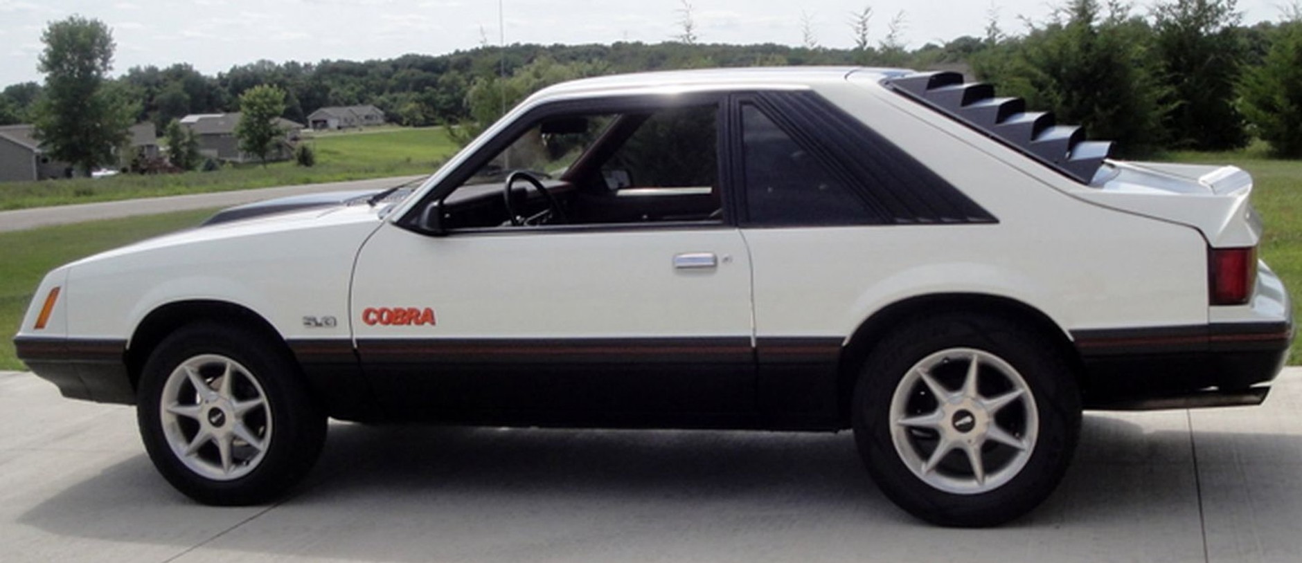 Mustang 1979 Cobra. Może i mały, ale zadziorny. Pod warunkiem, że miał solidny silnik pod maską. Niestety, wiele egzemplarzy miało silniki o mocy 80-100 KM.