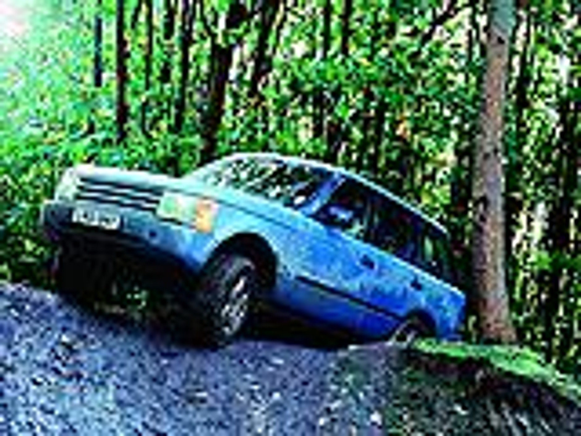 Królewska przyjemność