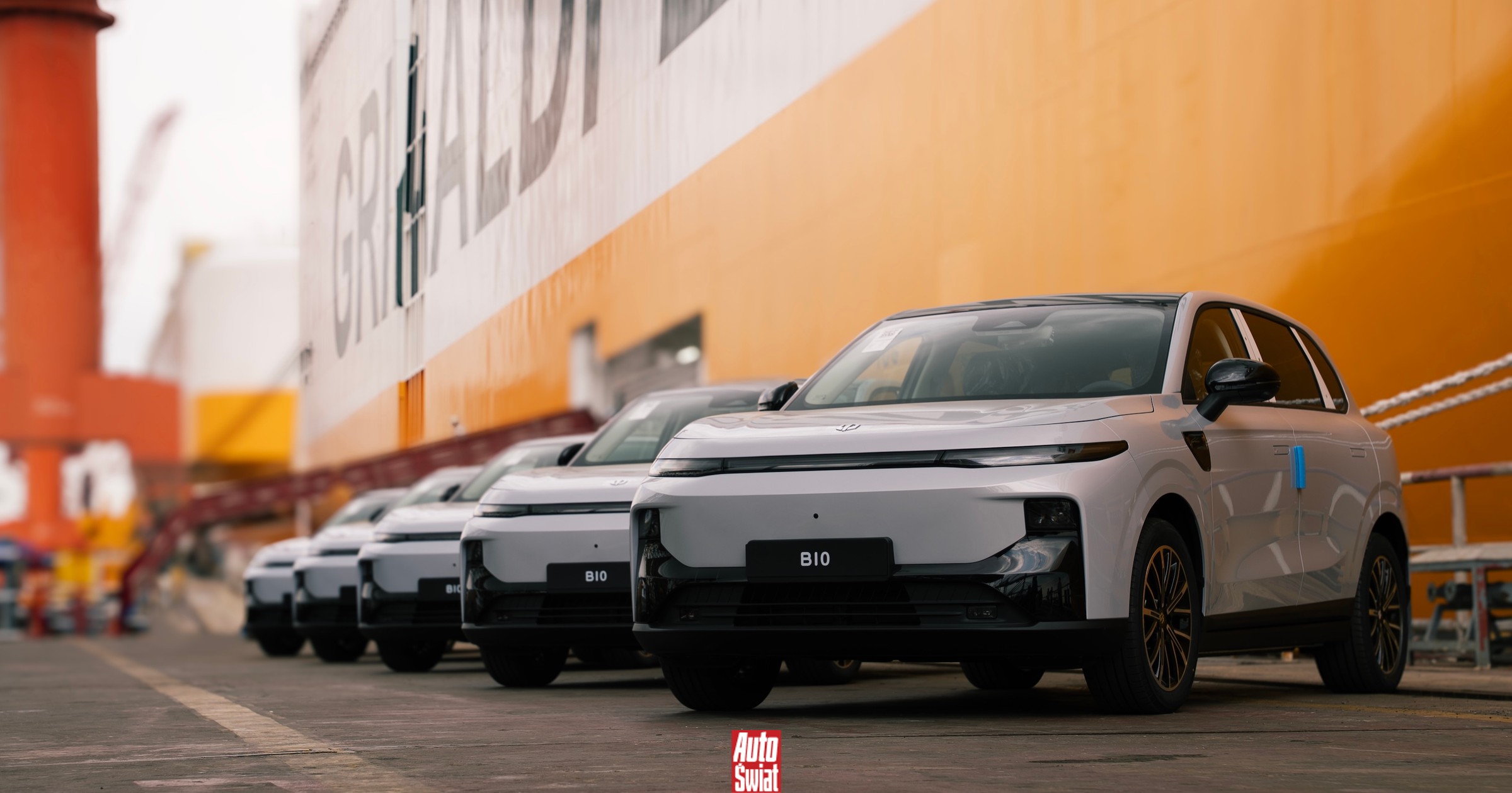 Wszyscy wygrywają z Chińczykami, Toyota z Mazdą, a Audi z Volvo. Zagłosuj na Auta Roku