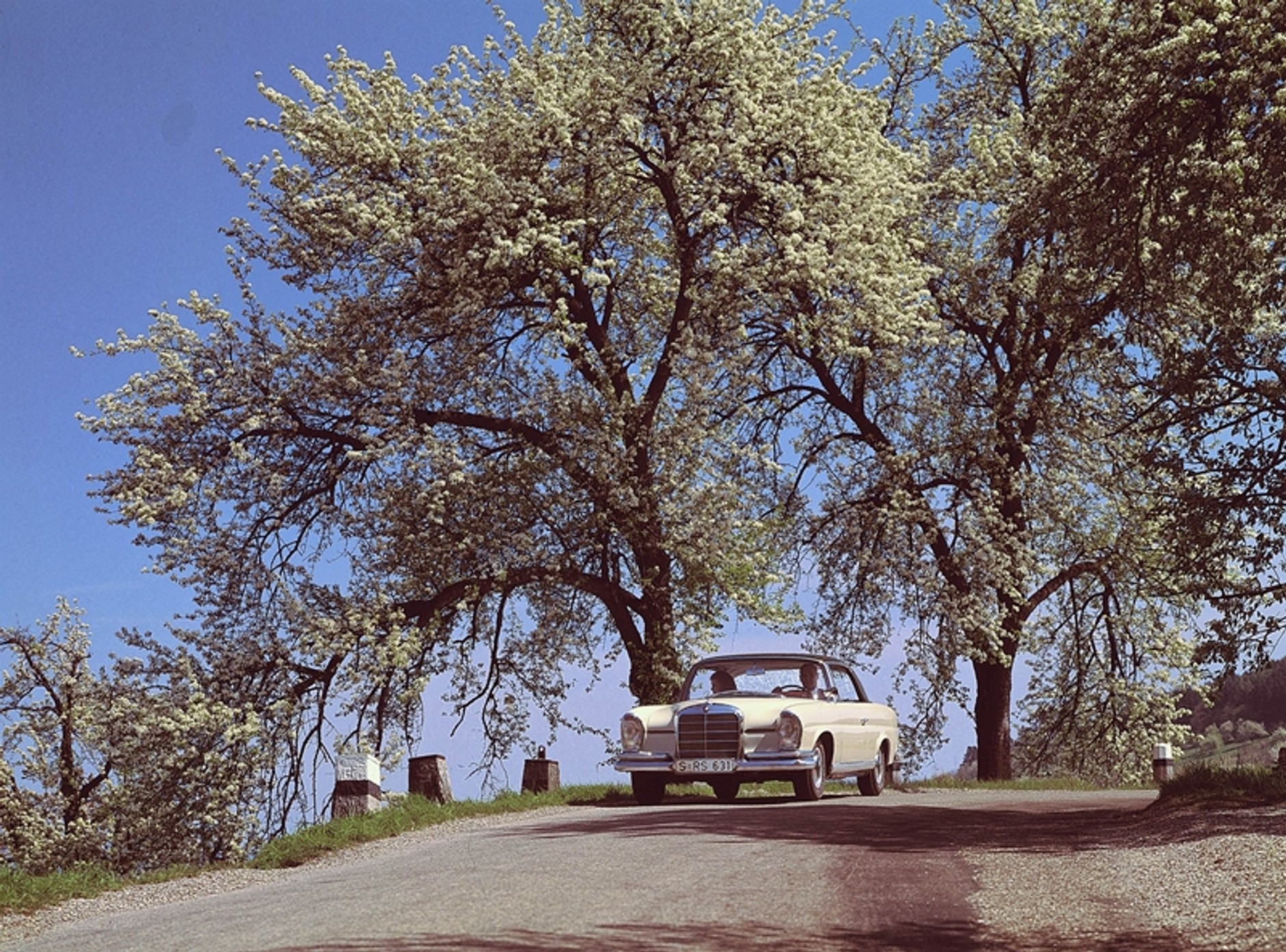 Mercedesy coupé – z pięknem trzeba obcować