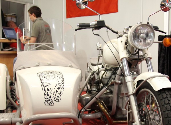 Ural Schneeleopard