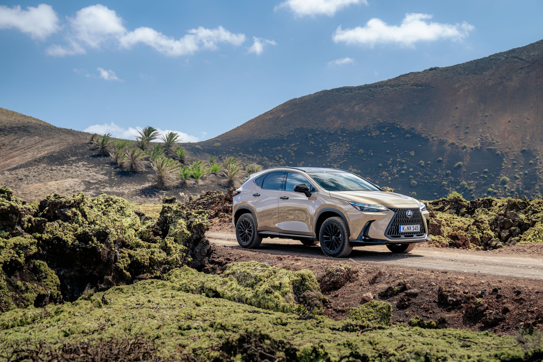 Lexus NX Overtrail