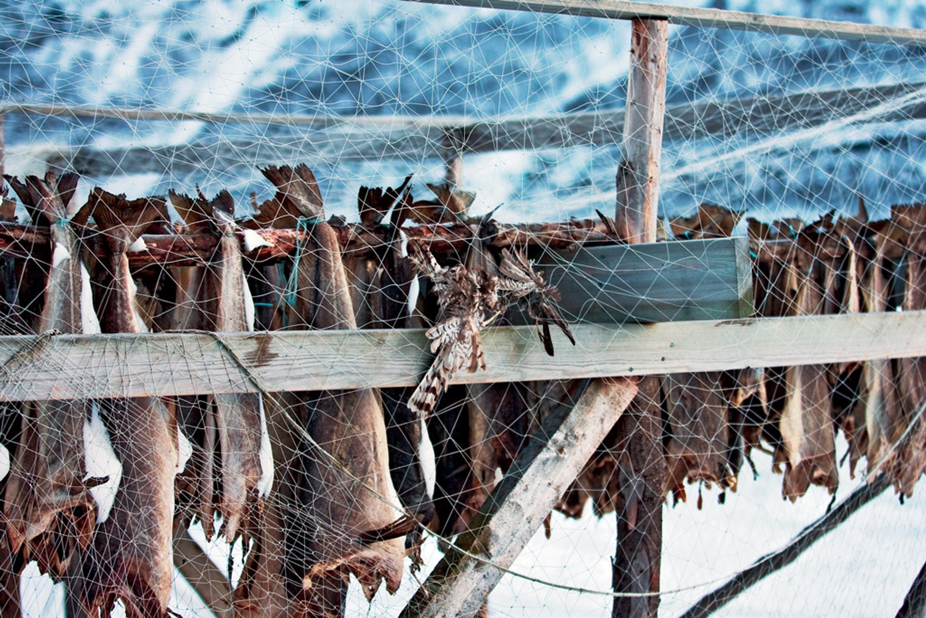 Zimowa wyprawa na Nordkapp