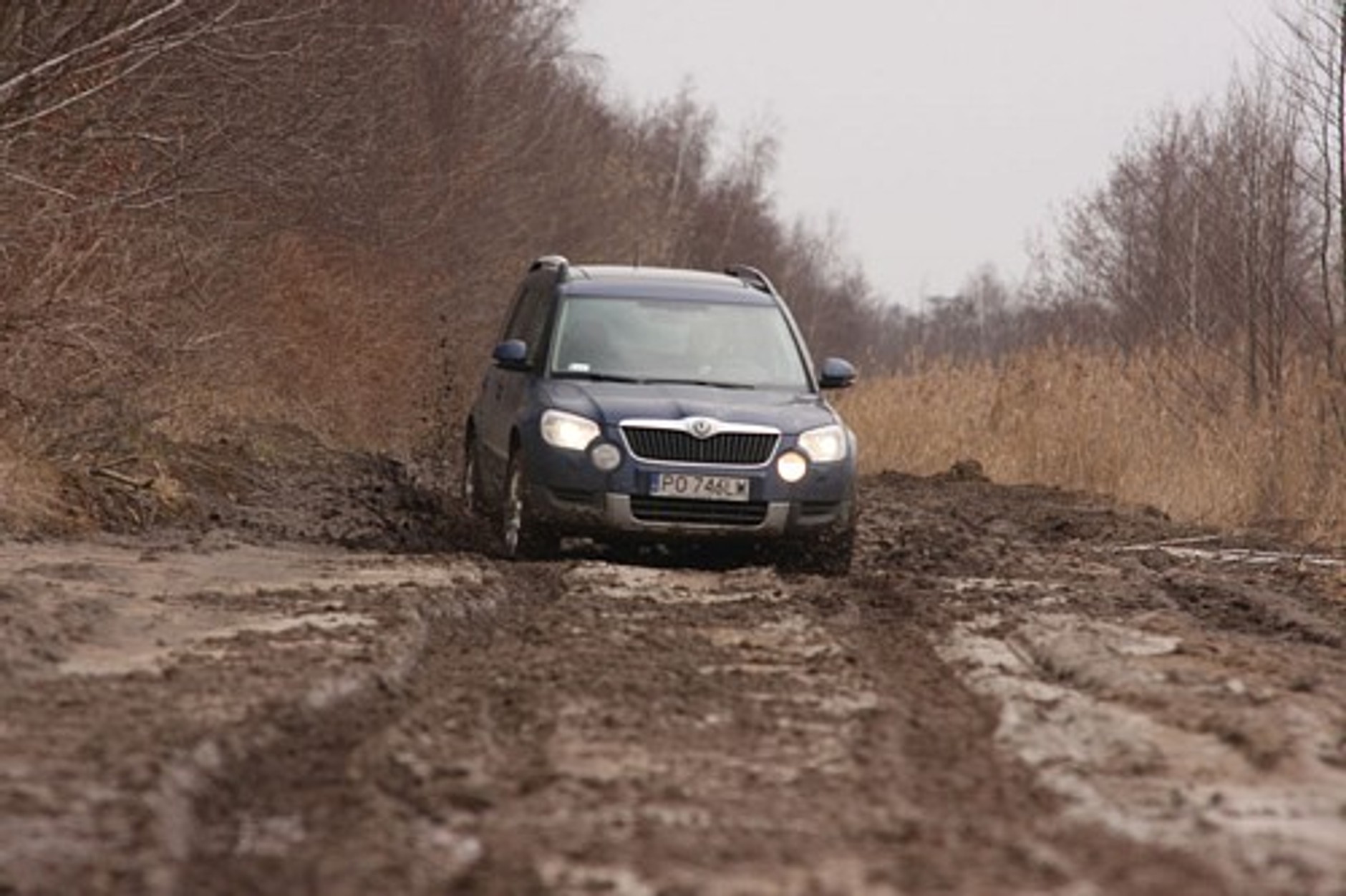 Śladami Yeti, na tropie tura