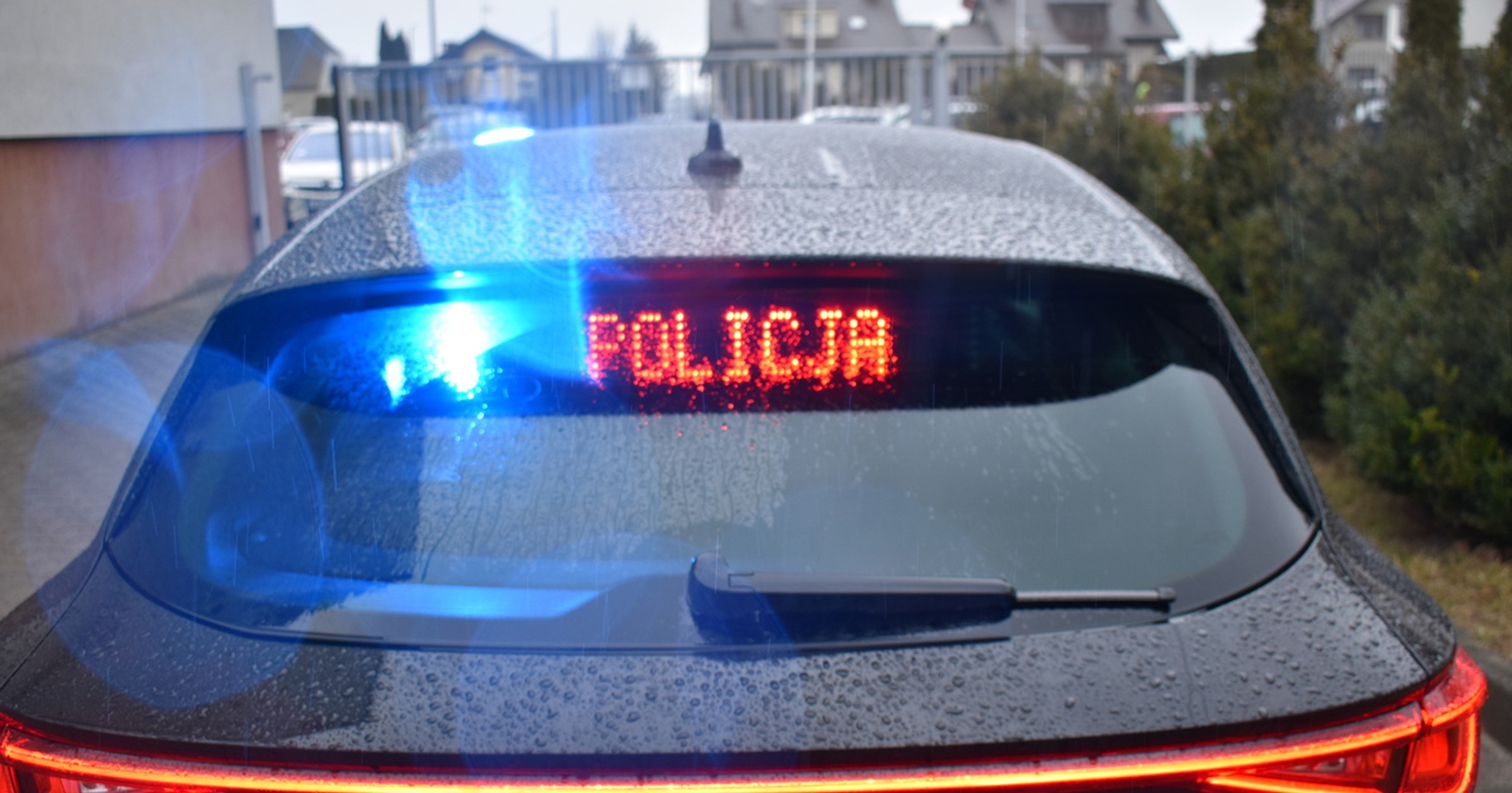 Cupra Leon grupa SPEED