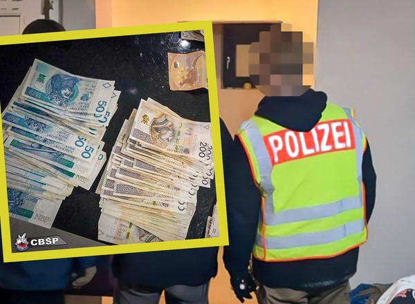 Polacy w Niemczech kradli "na komputer". Połasili się nawet na auta z ambasady