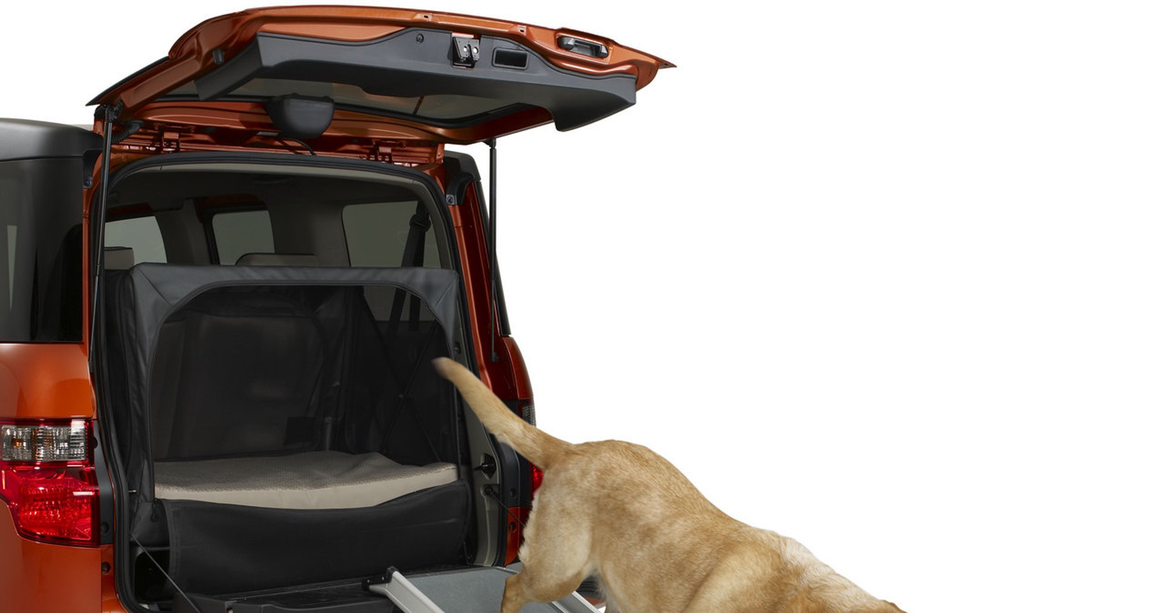 Honda Element – przyjaciółka psów