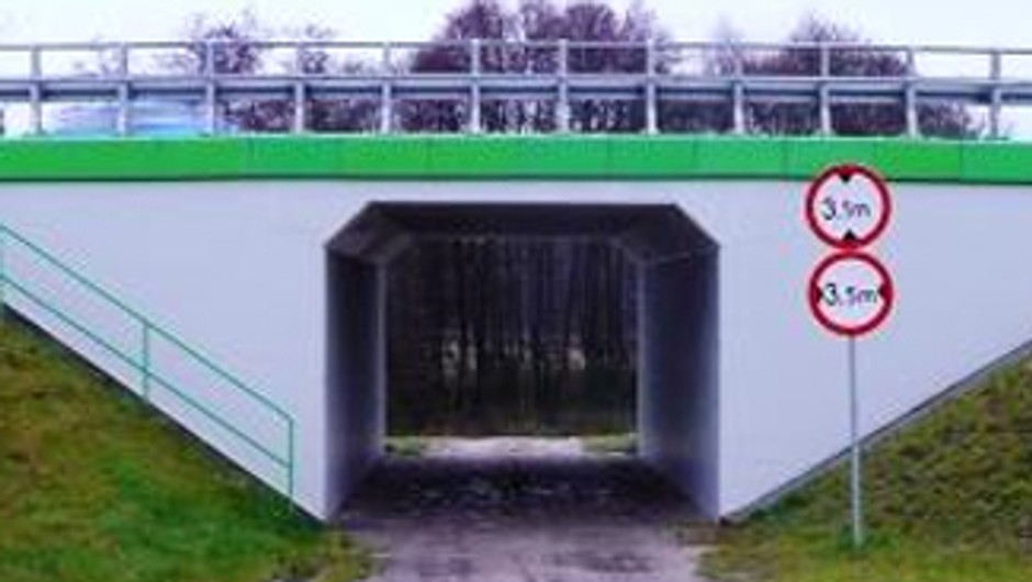 Auta górą, dziki dołem
