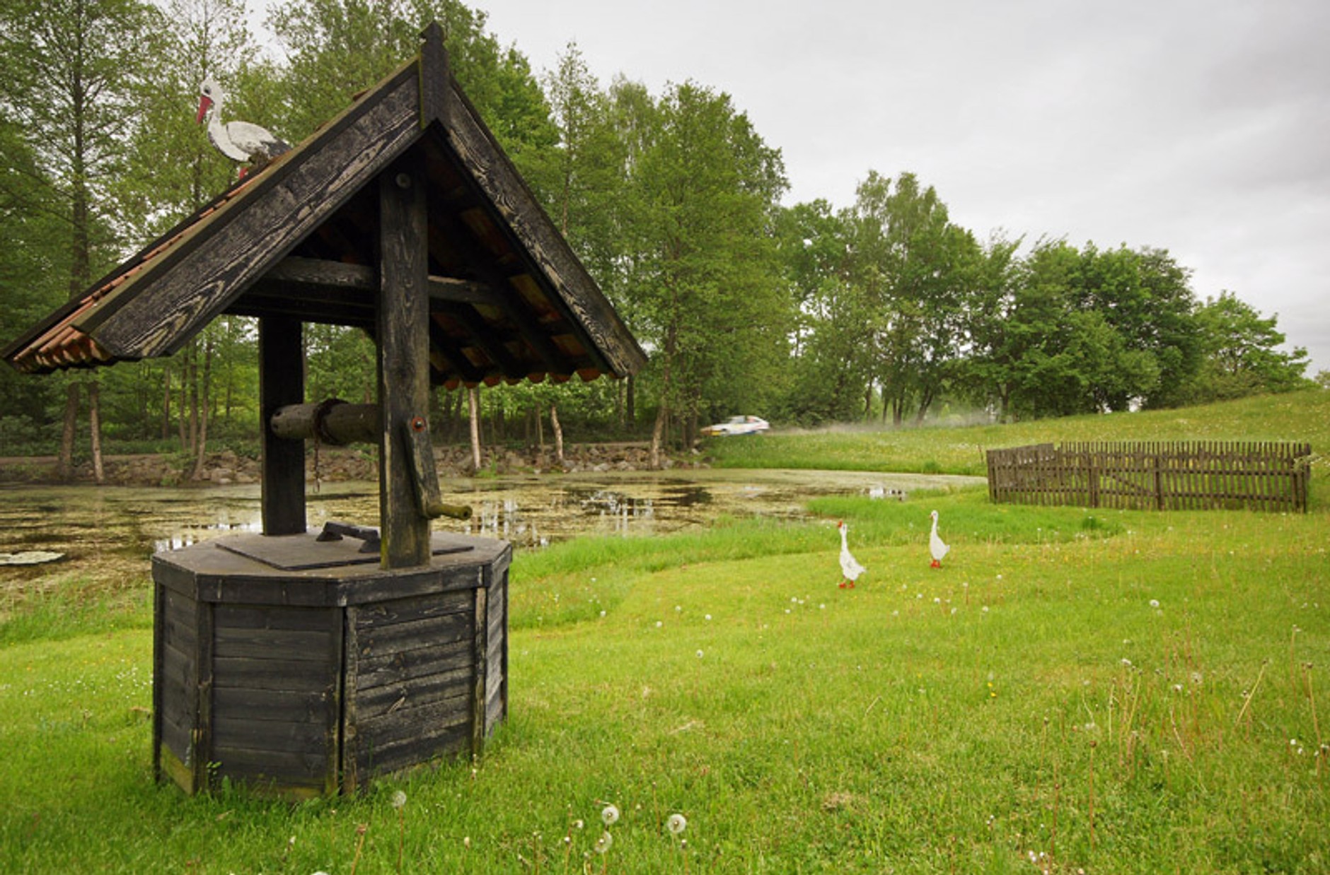 Rajd Agapit 2008: fotogaleria Dawida Konopki