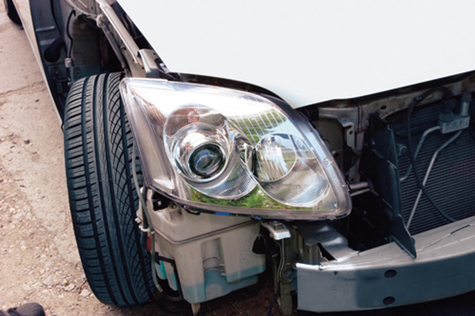 Kradzione nigdy nie tuczy