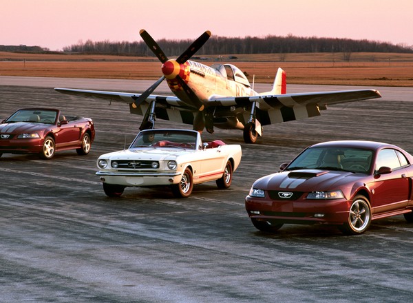 Happy Birthday to you, Mustang!