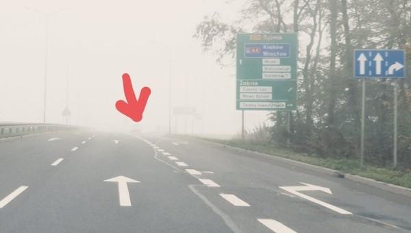 Światła dzienne we mgle