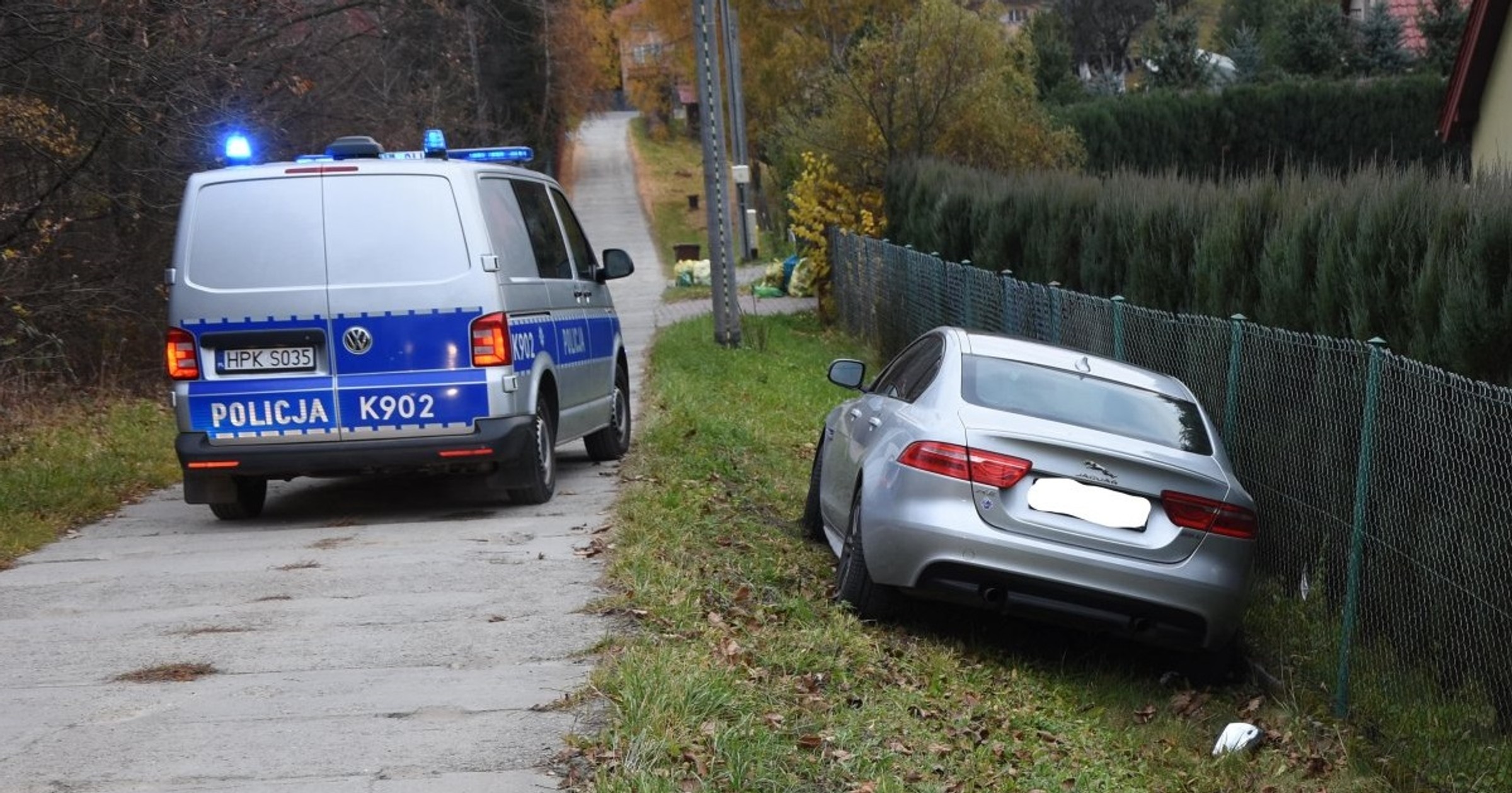 Jaguar na płocie. Policjanci z Podkarpacia zatrzymali poszukiwanego 31-latka.
