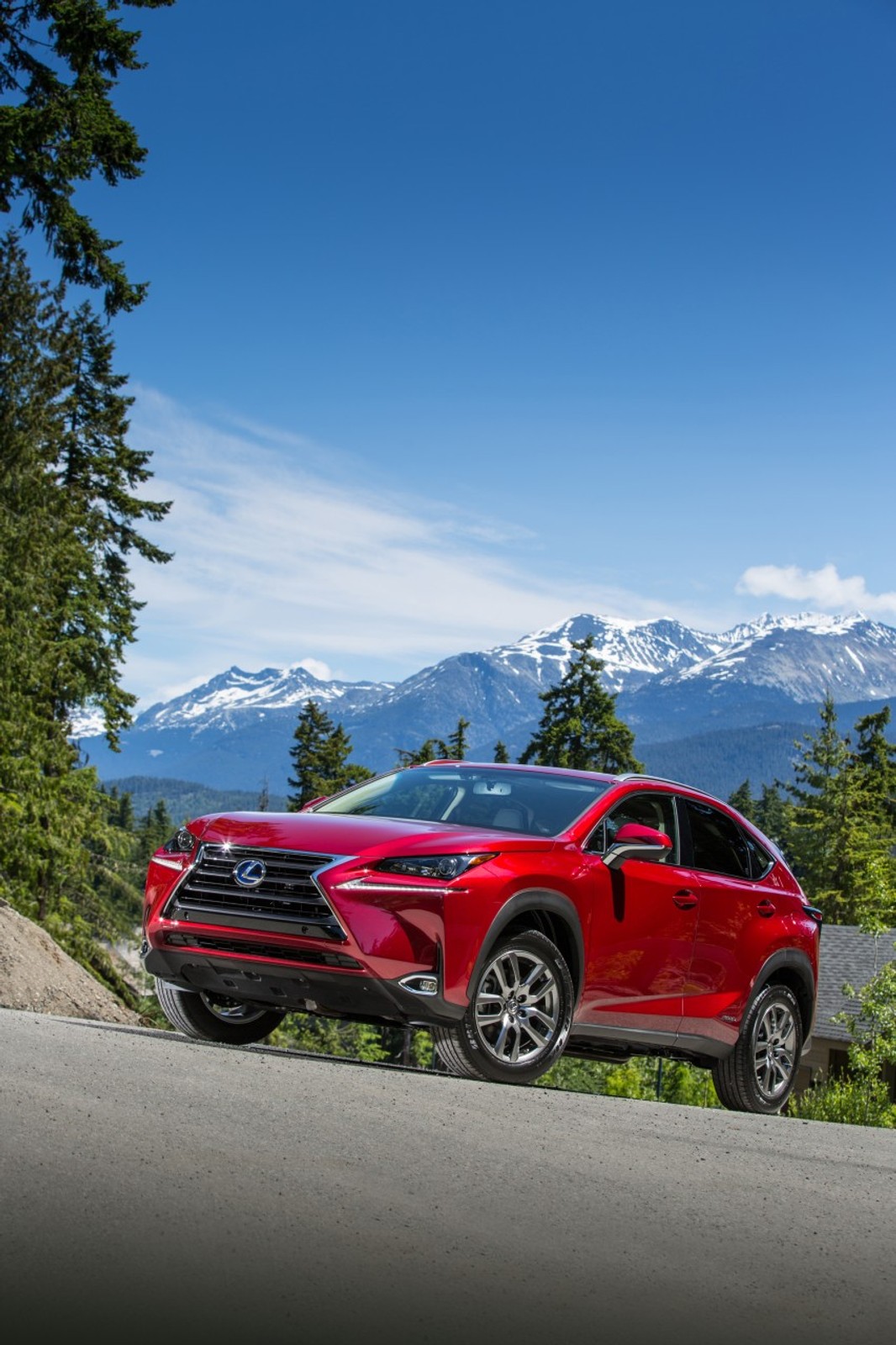 Lexus NX 300h