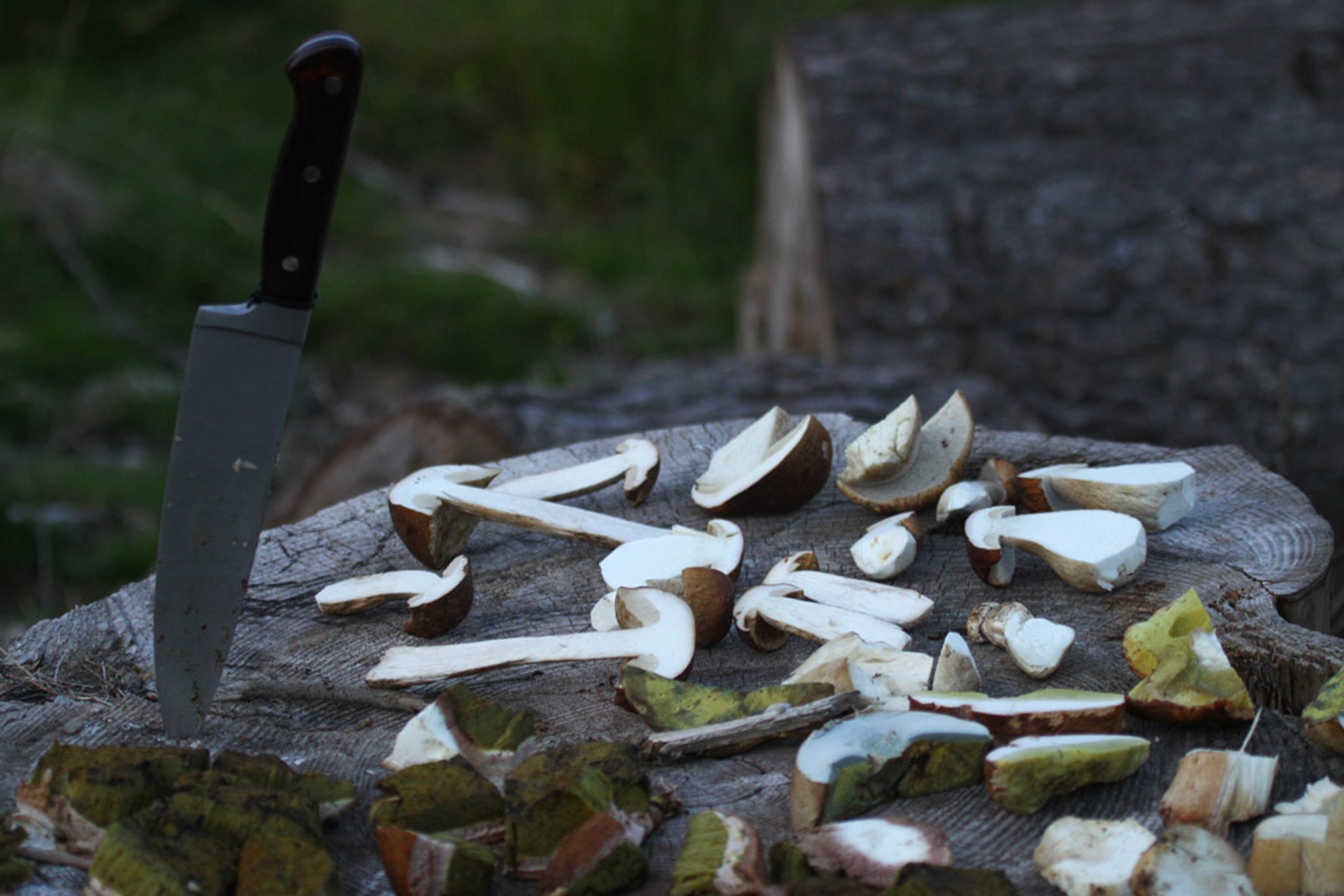 Auto Świat 4x4 Rumunia Expedition