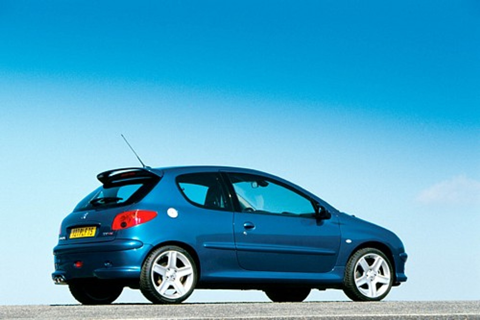 Lew w owczej skórze