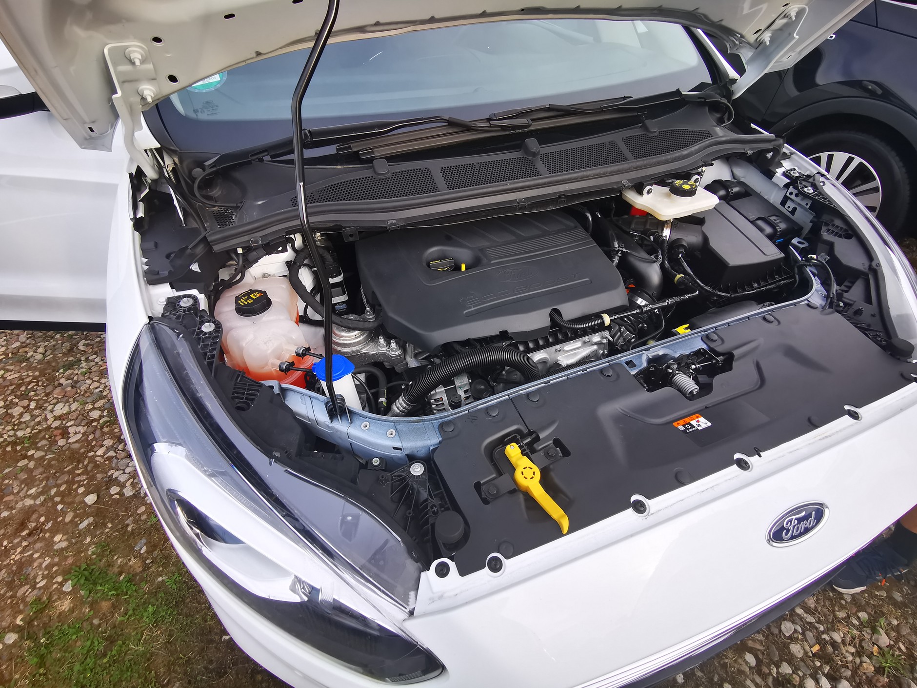 Ford S-Max z 2019 roku z przebiegiem 56 tys. km miał być idealny