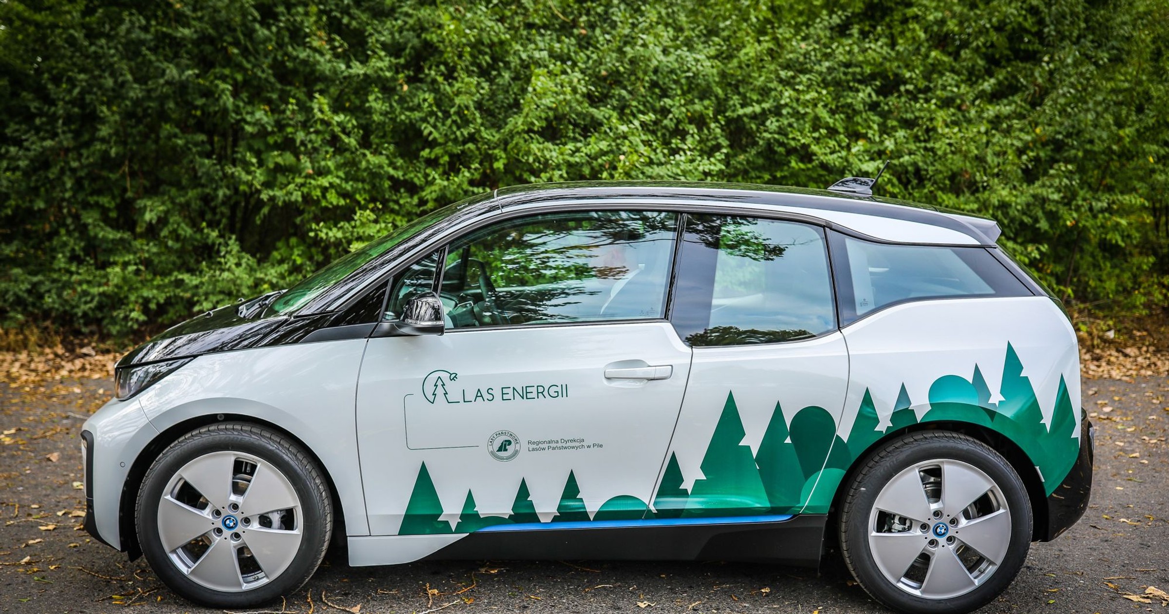 BMW i3 Lasy Państwowe