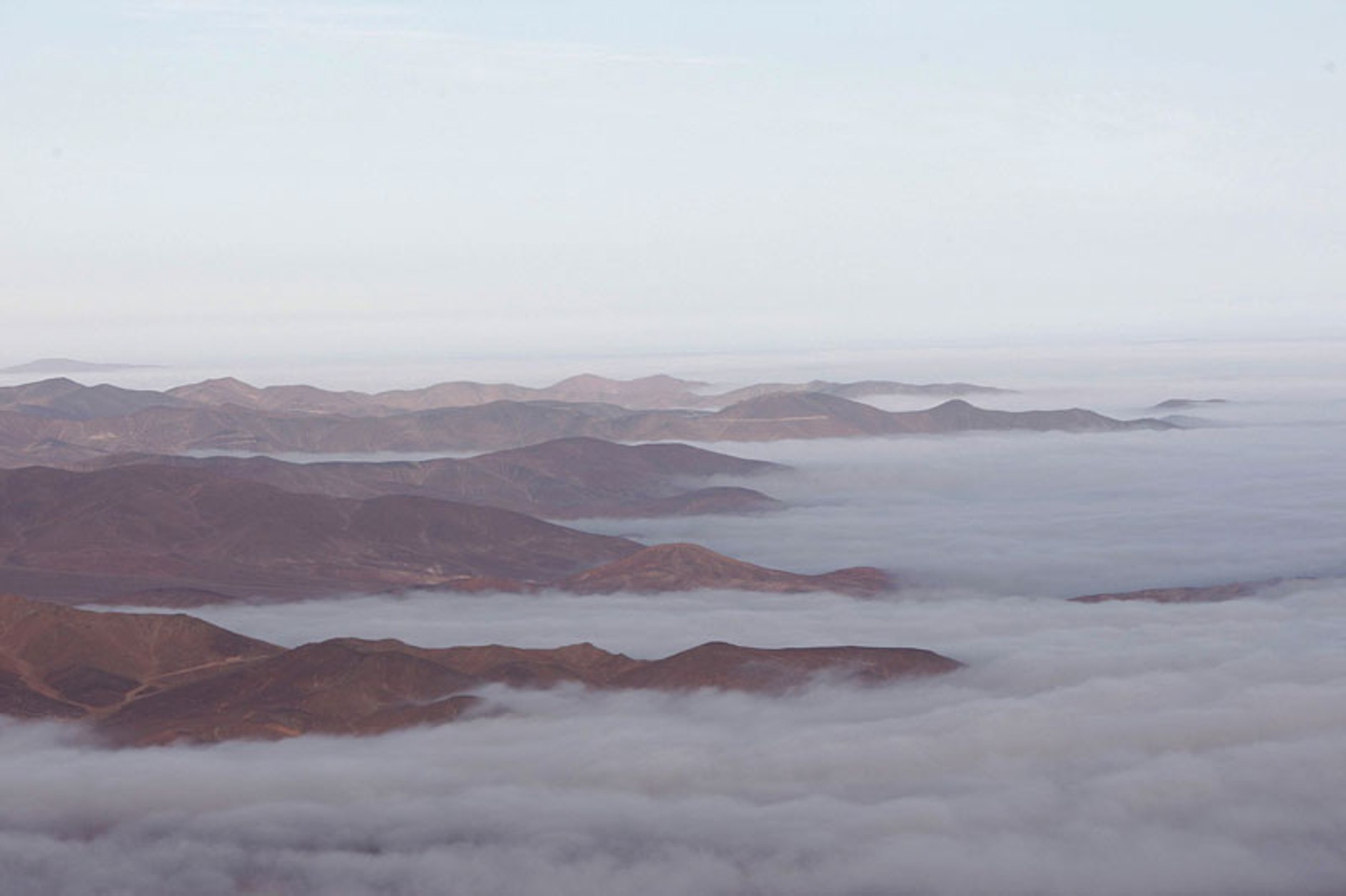 Rajd Dakar 2010: Przygoński atakuje, Hołowczyc awansuje (6. etap na żywo, wyniki, foto)