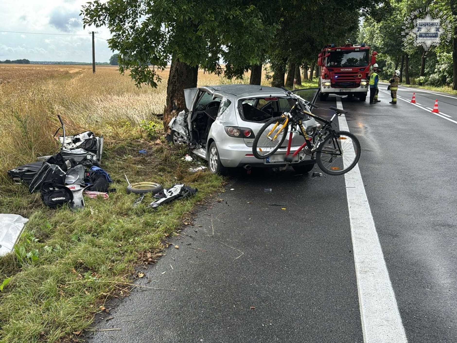 Samochód z niewyjaśnionych przyczyn uderzył w drzewo