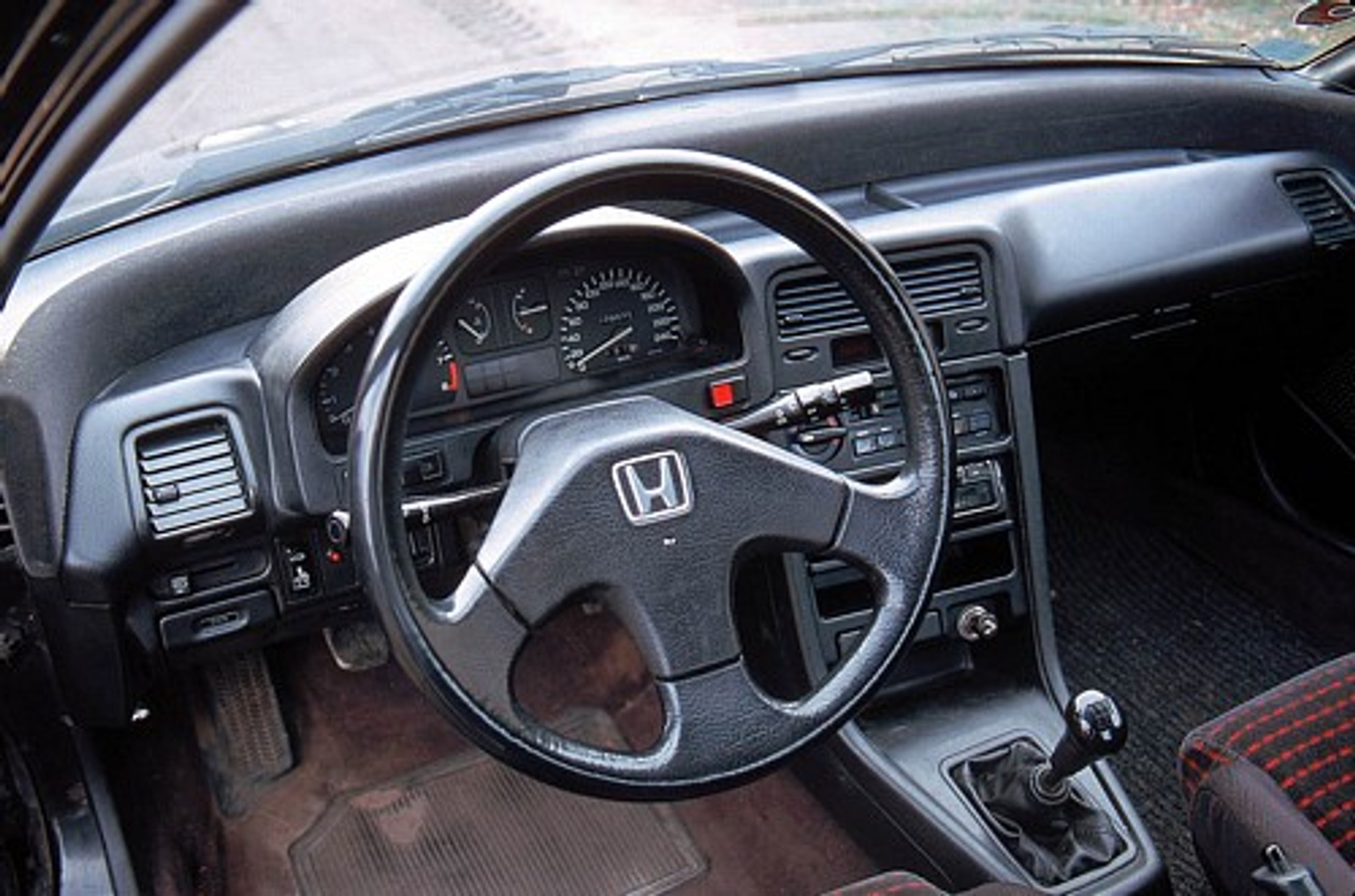 Mała, dzika i uzależnia