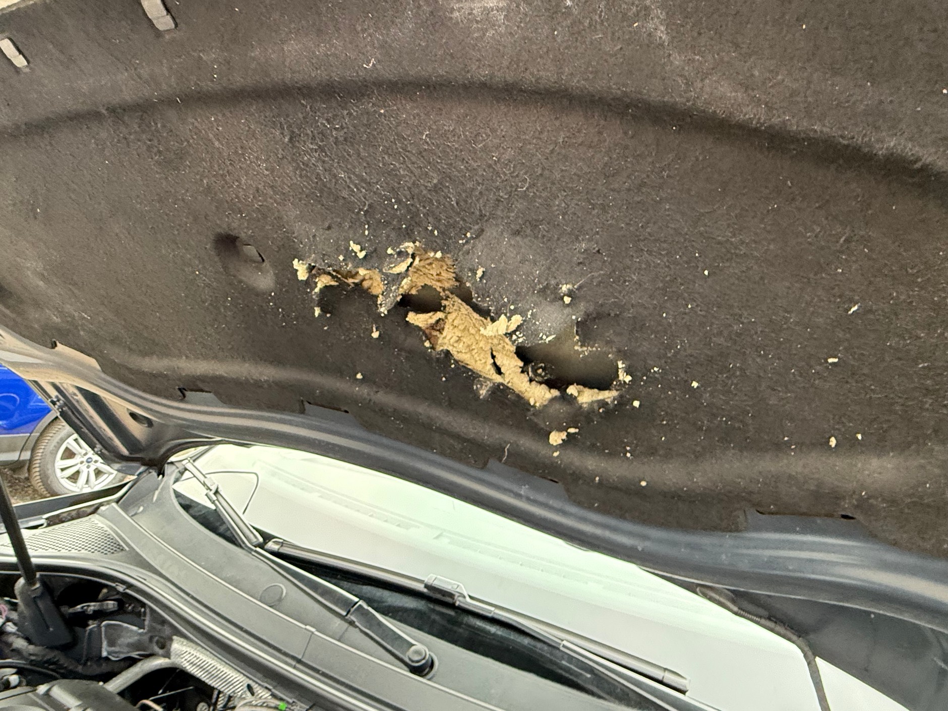 Volkswagen Tiguan z ogłoszenia. Nie całkiem bezwypadkowy...