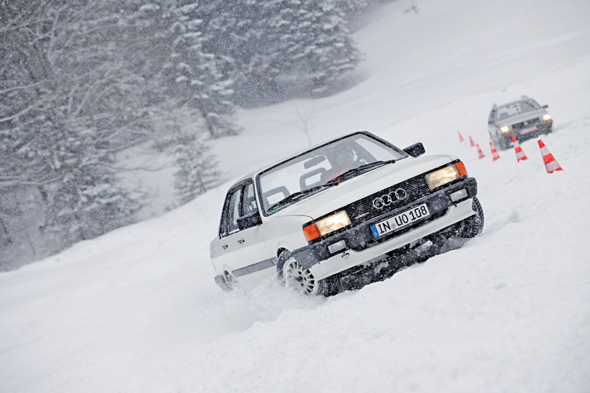 Audi 80 Quattro- Szlachetny gronostaj