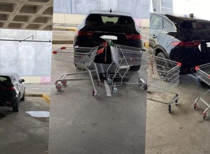 Jaguara "obsiadło" stado wózków. Tak Australijczycy ukarali "mistrza parkowania" [ZDJĘCIA]