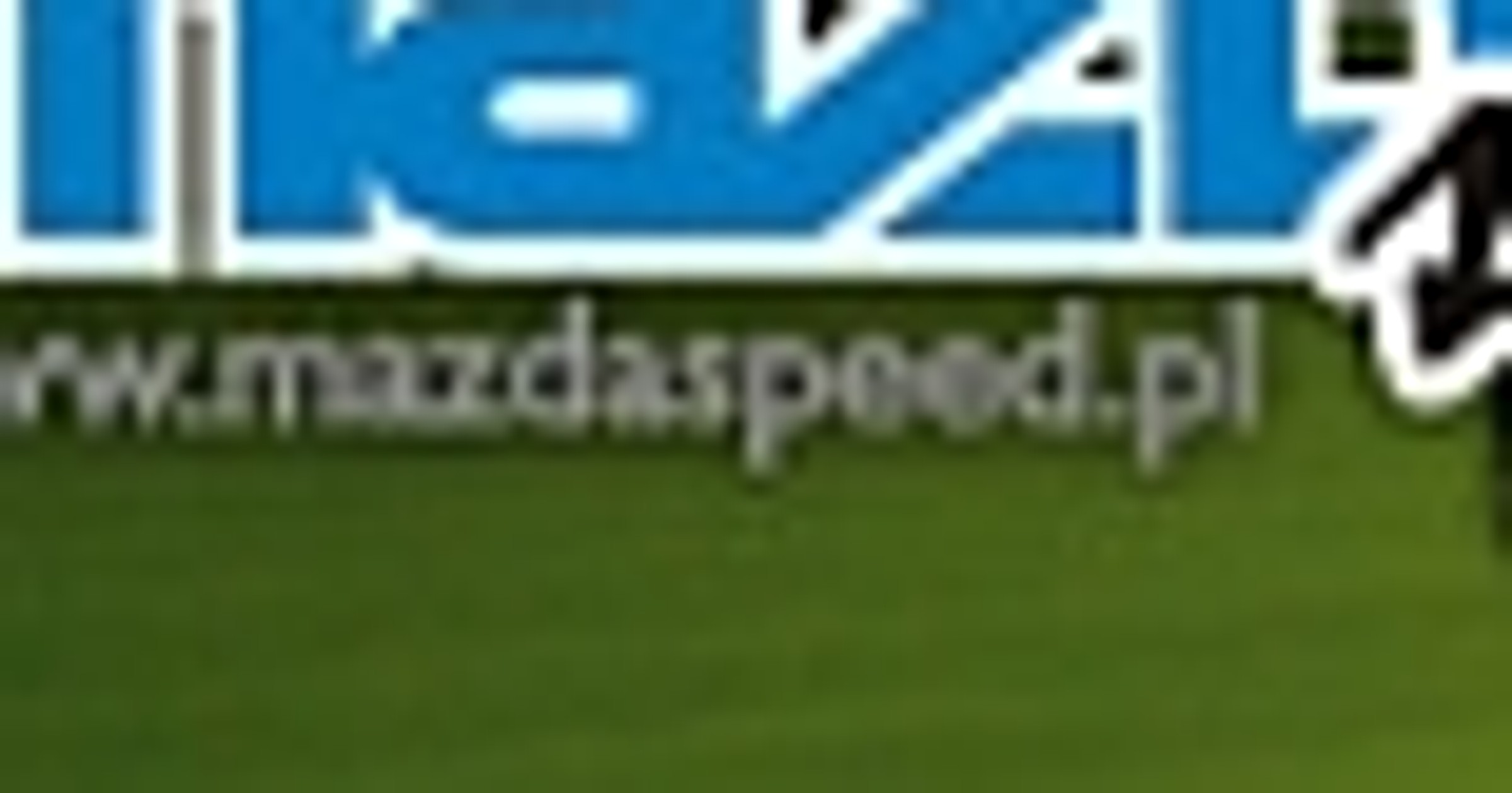 MegaSpot